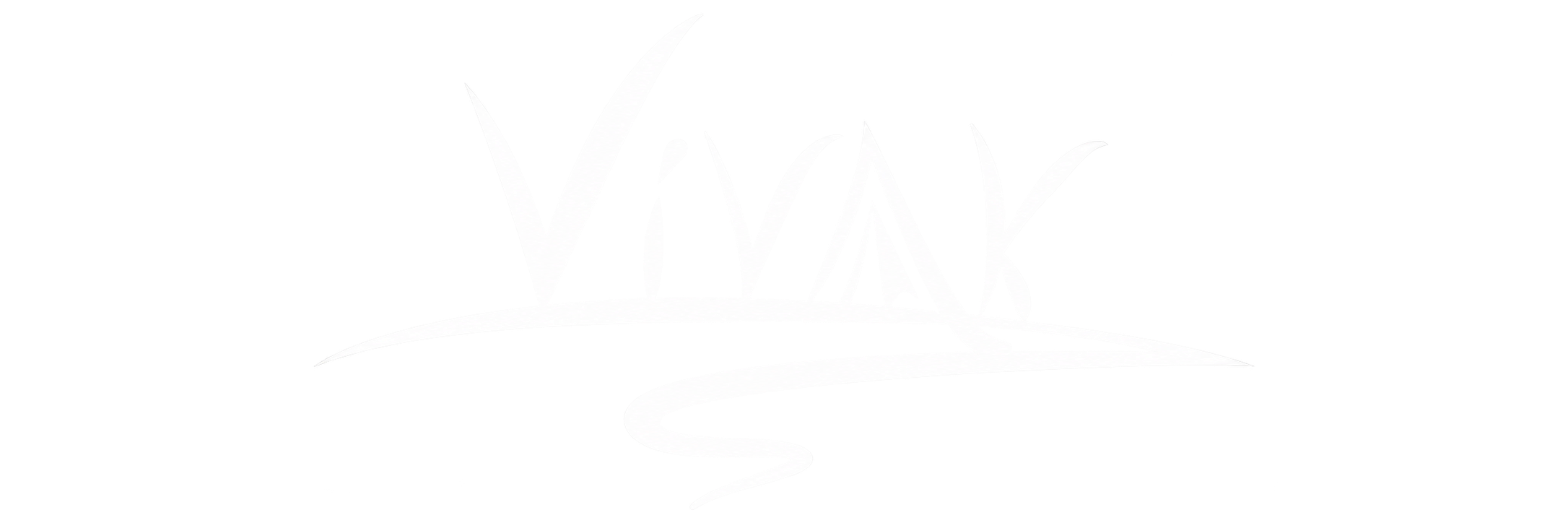 globalvisa-empresas-colaboradoras-vivak
